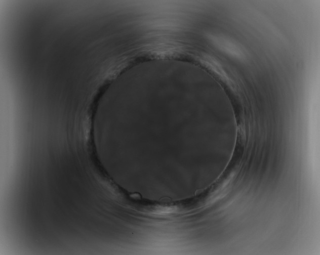 X0000094230458200711161913