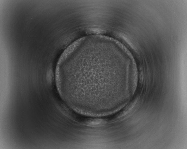 X0000094230459200711161913