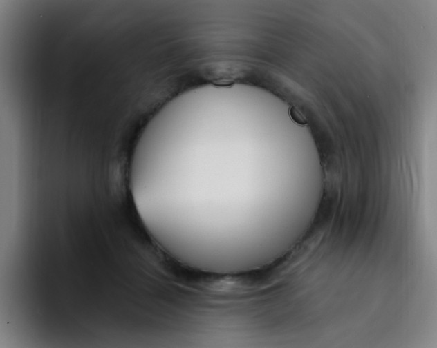 X0000094230460200711161913
