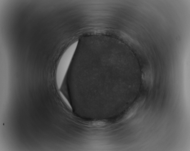 X0000094230462200711161913