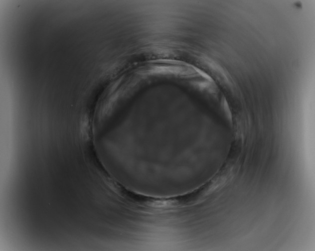 X0000094230465200711161913