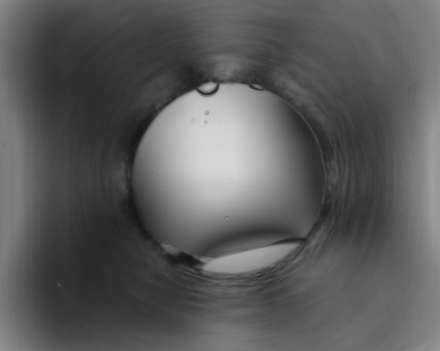 X0000094230470200711161913