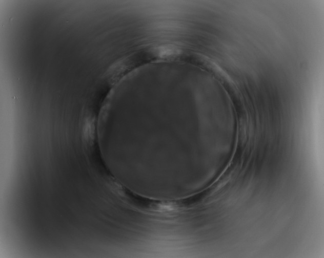 X0000094230475200711161913