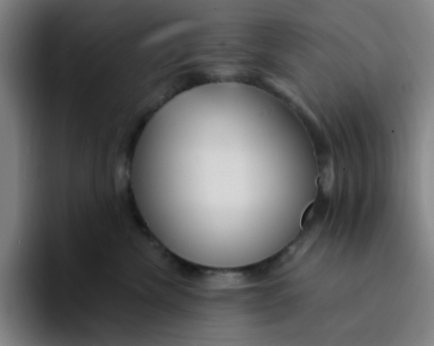 X0000094230476200711161913