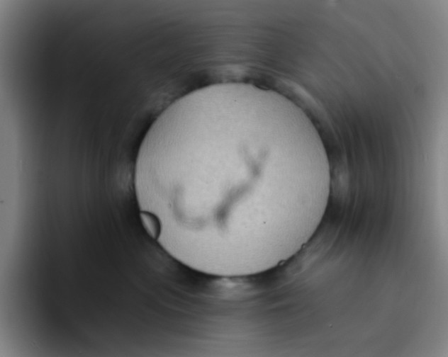 X0000094230477200711161913