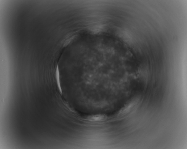 X0000094230479200711161913