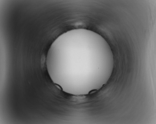 X0000094230480200711161913