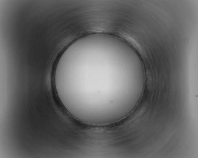 X0000094230482200711161912