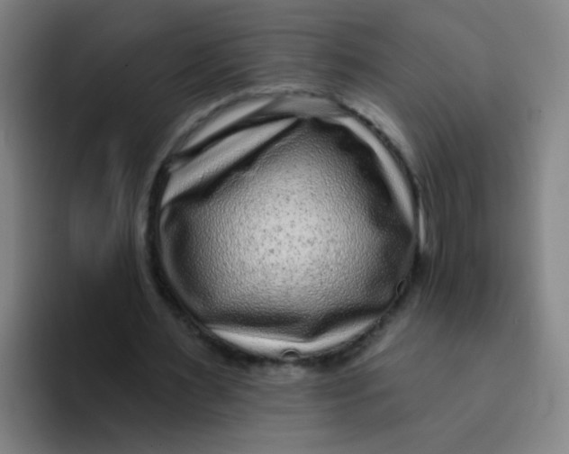 X0000094230483200711161912