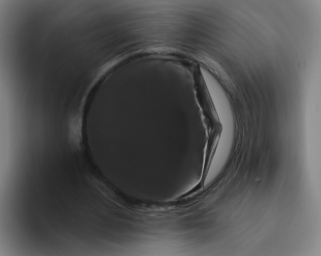 X0000094230484200711161912
