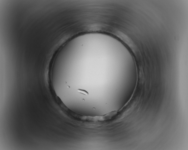 X0000094230485200711161912