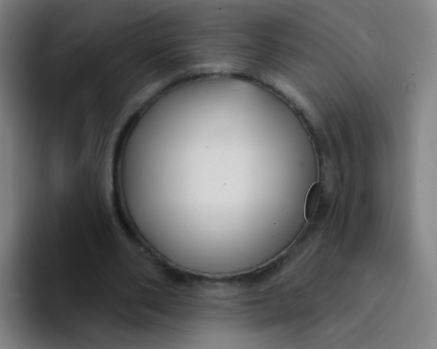 X0000094230486200711161912
