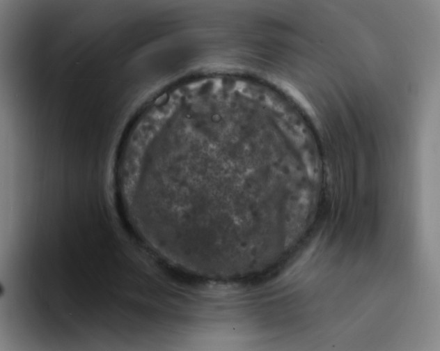 X0000094230487200711161912