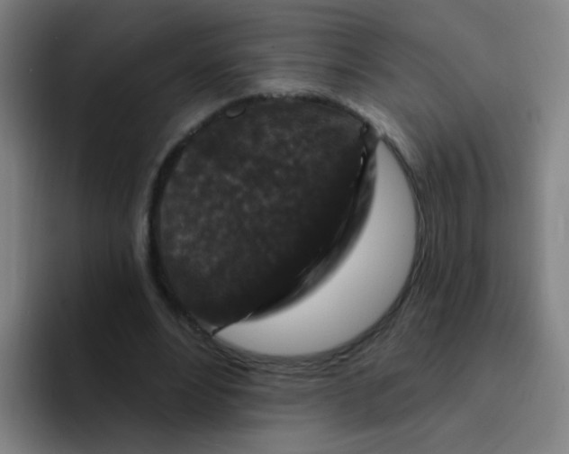 X0000094230488200711161912