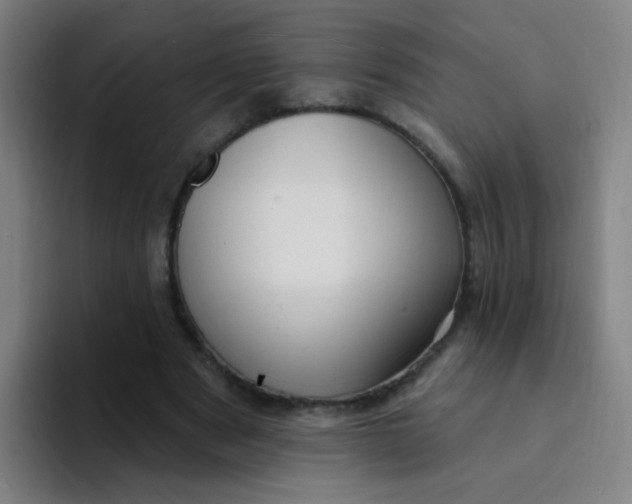 X0000094230489200711161912