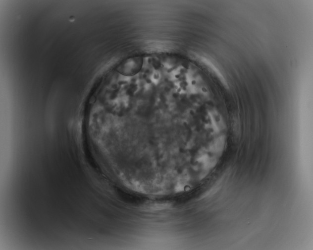 X0000094230491200711161912