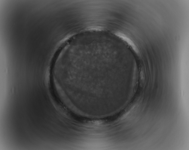 X0000094230492200711161912