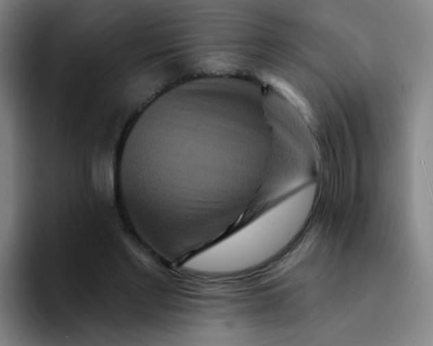 X0000094230493200711161912