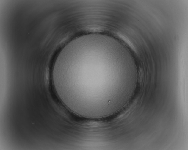 X0000094230494200711161912