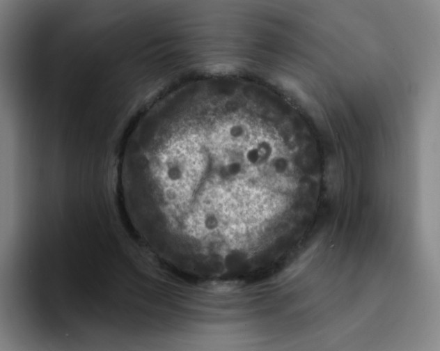 X0000094230495200711161912