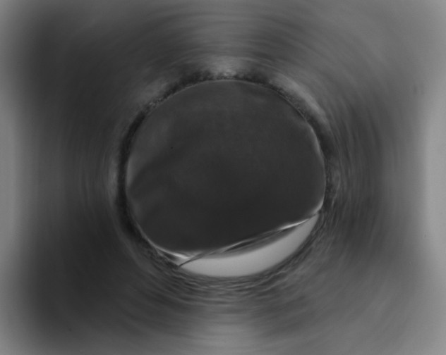 X0000094230496200711161912