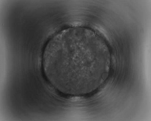 X0000094230499200711161912