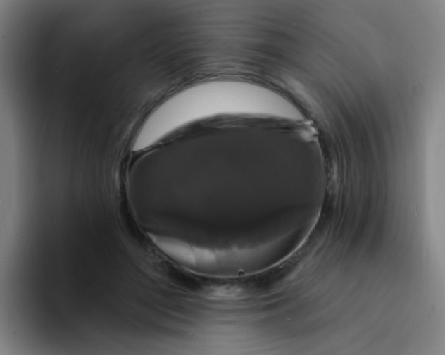 X0000094230500200711161912