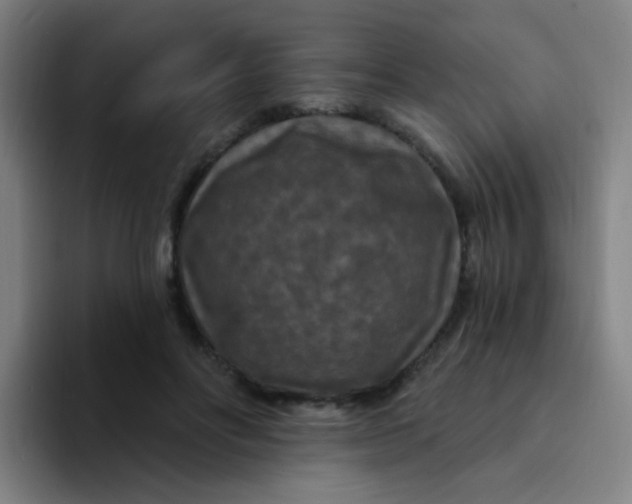 X0000094230502200711161912