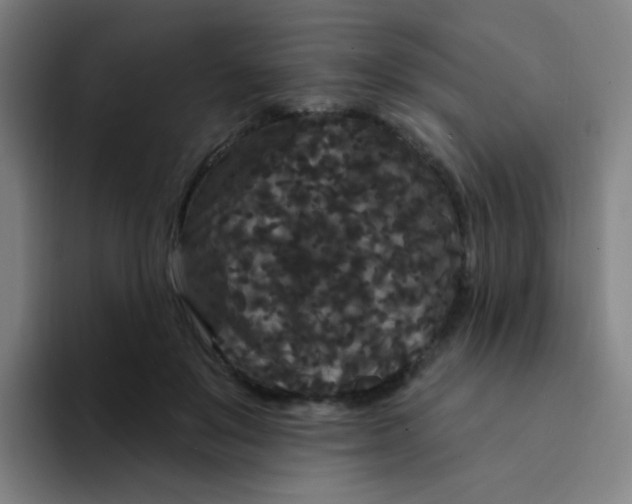X0000094230503200711161912