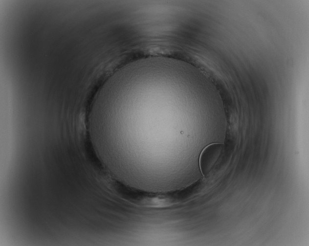 X0000094230506200711161912