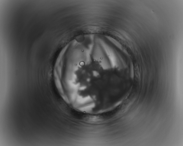 X0000094230507200711161912