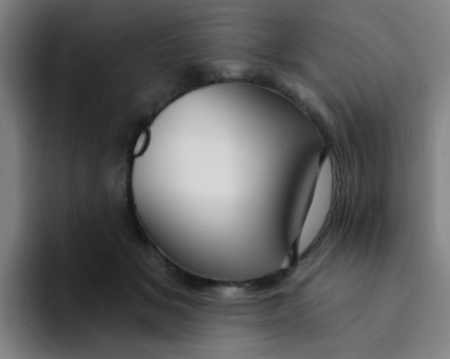 X0000094230509200711161912