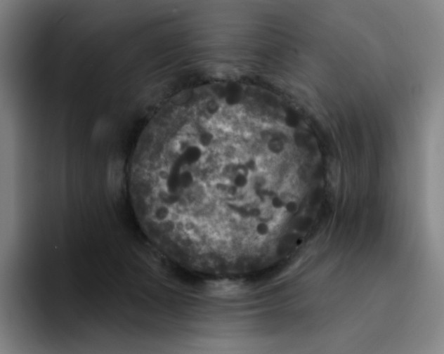 X0000094230511200711161912