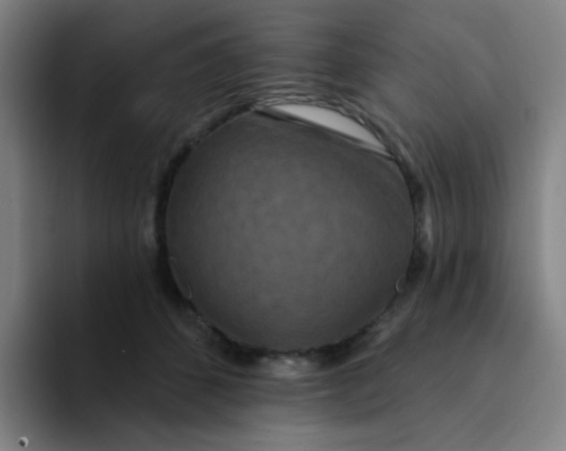 X0000094230512200711161912