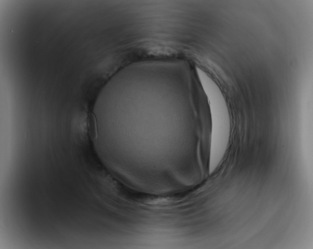 X0000094230513200711161912