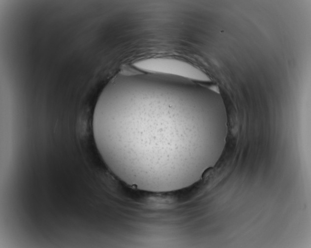X0000094230515200711161912