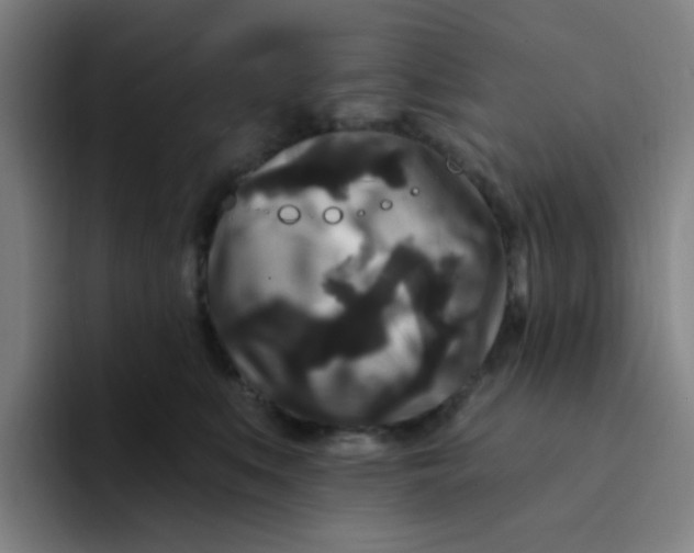 X0000094230519200711161912