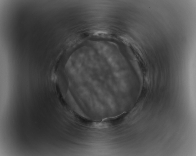 X0000094230520200711161912