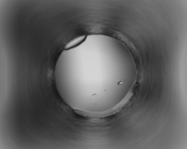 X0000094230521200711161912