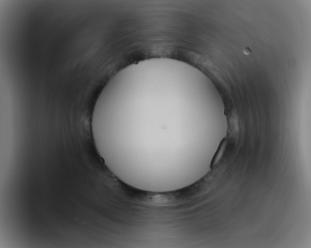 X0000094230522200711161912