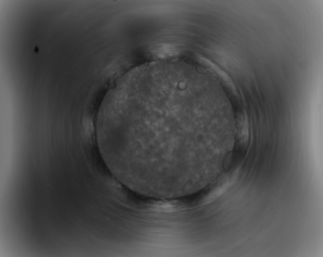 X0000094230523200711161912
