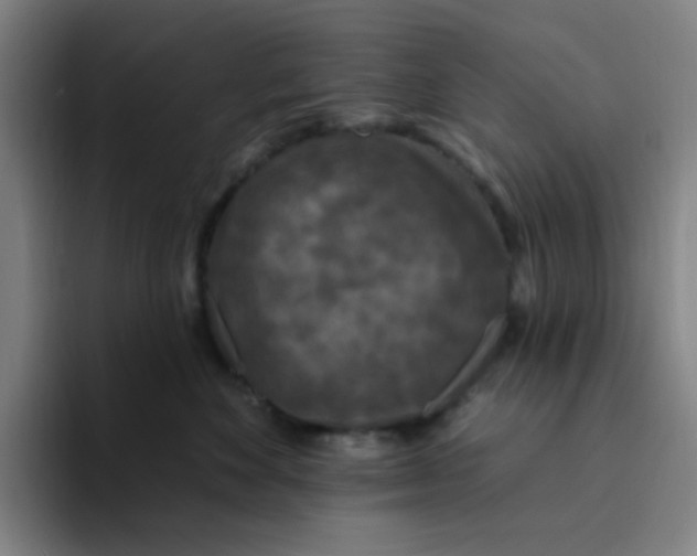 X0000094230524200711161912