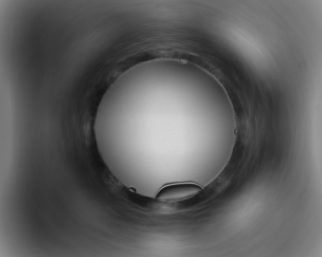 X0000094230525200711161912