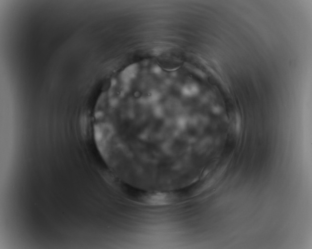 X0000094230527200711161912