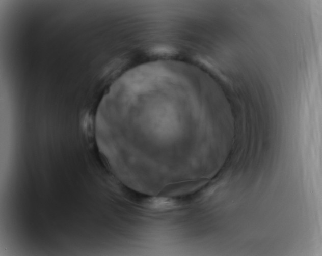 X0000094230528200711161912