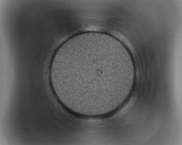 X0000094230529200711161911