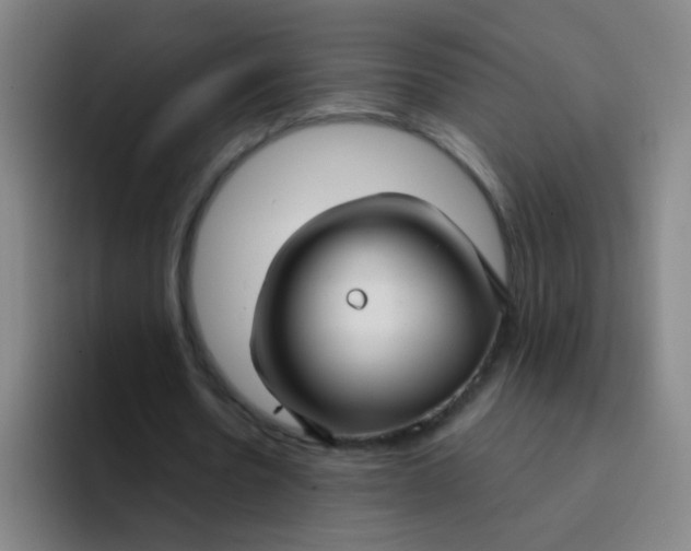 X0000094230530200711161911