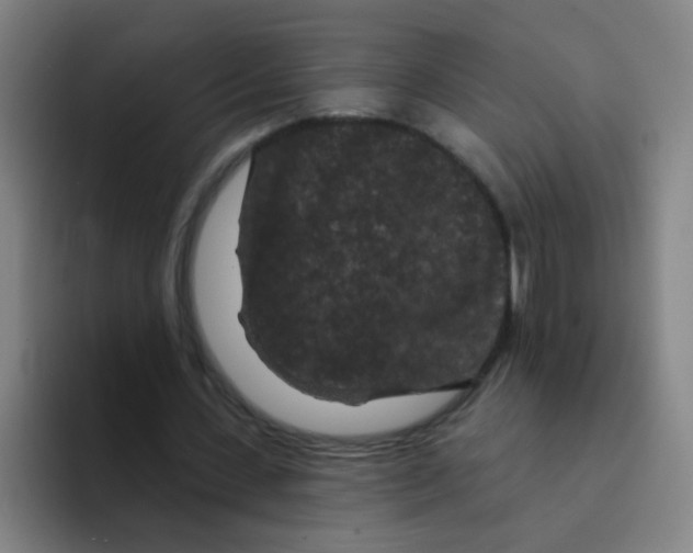 X0000094230531200711161911