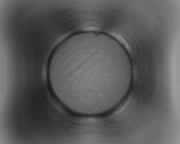 X0000094230533200711161911