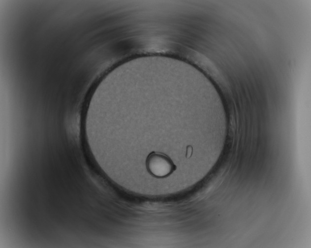 X0000094230534200711161911